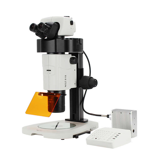 体视荧光显微镜NSZ818.500px.jpg