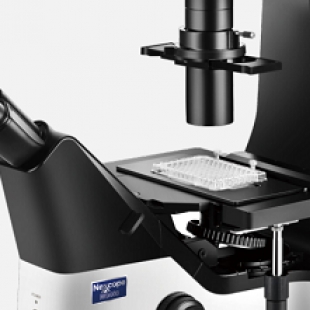 NIB910-FL科研级倒置荧光显微镜应用于华南师范大学科研使用