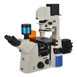 耐可视研究型倒置荧光显微镜搭配荧光相机应用于脑细胞研究工作