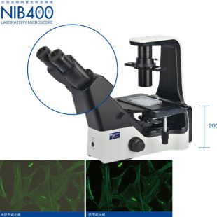 耐可视倒置生物显微镜 NIB400