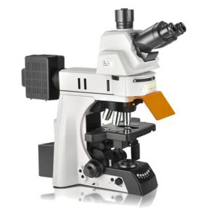 耐可视NE930-FL科研级电动正置荧光显微镜-广东显微镜厂家代理商光显微镜