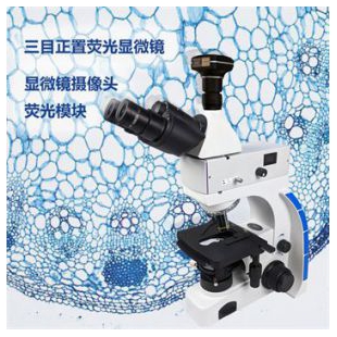 三目正置荧光显微镜生产 MHF100