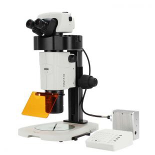体视荧光显微镜应用于朱墨时序司法鉴定