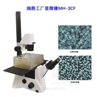 细胞工厂显微镜 倒置相差显微镜 MH-3CF
