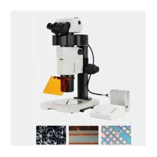 广东体视显微镜方案 体视显微镜供应 NSZ818 可升级荧光
