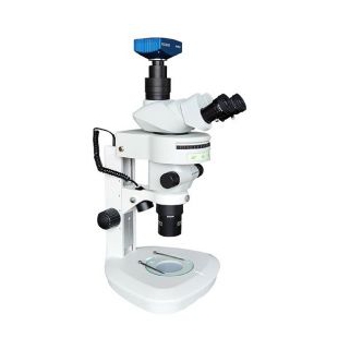 斑馬魚觀察體式生物顯微鏡MHZF700