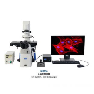广州荧光显微镜销售 电动显微成像系统NIB950-FL 明慧显微