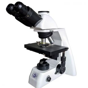 荧光显微镜MHF100显...