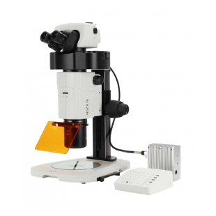 解剖体视显微镜 广东双目体视显微镜制造 NSZ818 明慧科技