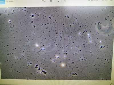 NE910科研级相差显微镜应用于广东阳江公安局刑侦检测