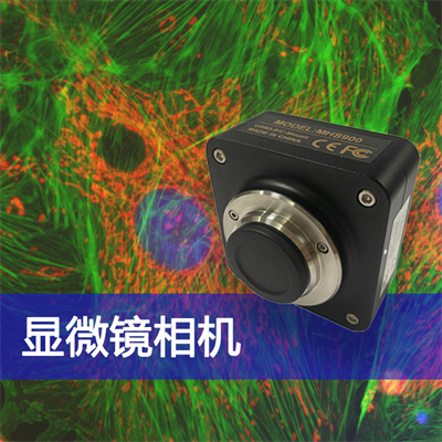 广州明慧显微镜相机，助您轻松快速地获得优秀的成像质量