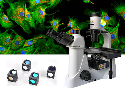 荧光显微镜双色滤光片怎么选择