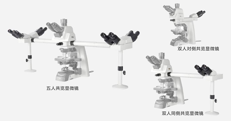 多人共览显微镜优势-耐可视-广州显微镜
