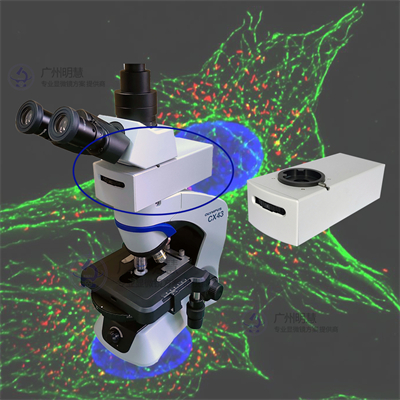 广州明慧显微镜LED荧光光源匹配奥林巴斯CX43显微镜