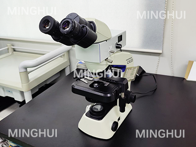 显微镜荧光模块应用于真菌检测案例