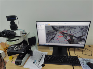 明慧显微模块助力奥林巴斯BX43显微镜金相荧光功能升级