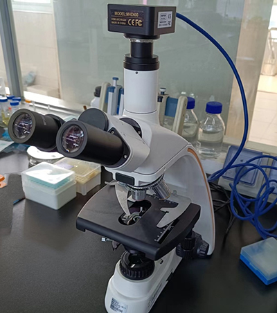 国产生物显微镜-生物显微镜 双目三目-生物显微镜厂家