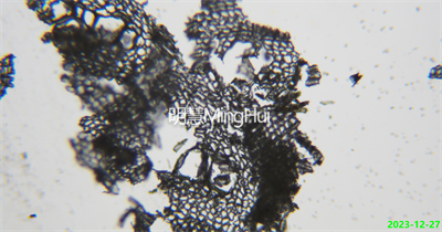 沉香在明慧科技生物显微镜下实拍图