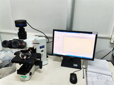 MHS900高灵敏显微镜相机助力广州医药集团下属某药厂观察中药和细菌