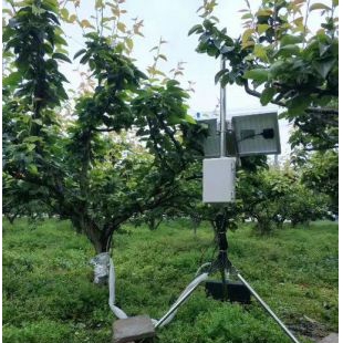 SF-L 植物树干茎流液流测量系统