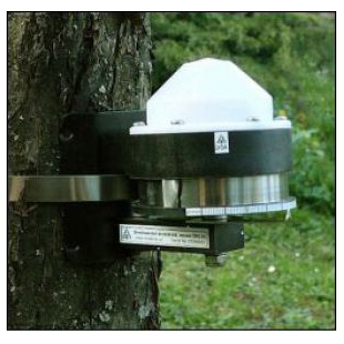 树木茎杆生长测量仪 LY-DRL26