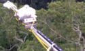 补蚌塔吊森林梯度观测系统项目完成！
