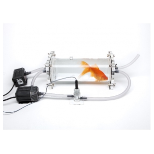 鱼类及水生无脊椎动物呼吸代谢测量系统