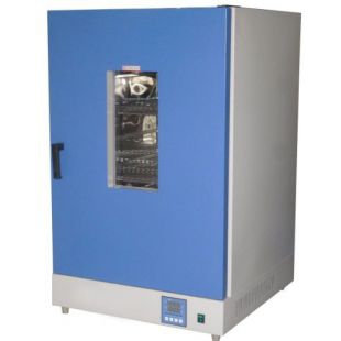 科辉DGG-9426A 300℃立式电热恒温干燥箱现货供应