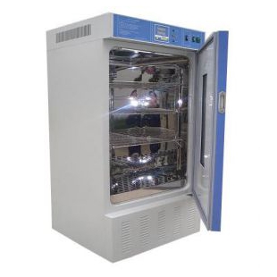 湖北科辉DW-250低温恒温箱贮存箱