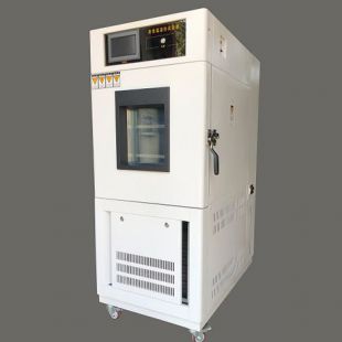 DHS-100低温恒定湿热试验箱