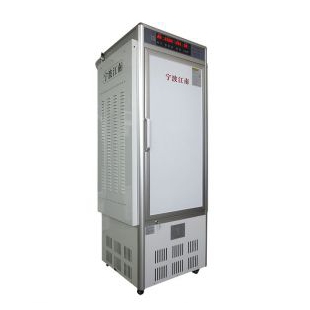 人工气候箱 RXZ-500