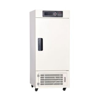 人工气候箱 RXM-168