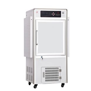 人工气候箱 RXZ-160