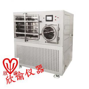 上海XY-FD-S20中试冻干机生物制药冷冻干燥机多肽血清专用冻干设备
