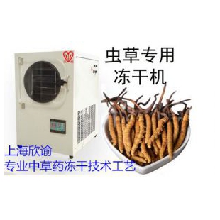 上海XY-FD-L1小型冻干机水果虫草冻干机石墨烯多肽冻干机
