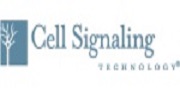 美国CST/Cell Signaling Technology