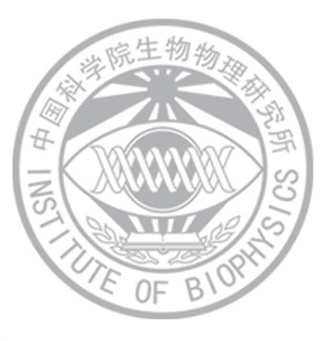 中国科学院生物物理研究所核磁谱仪系统采购项目中标公告