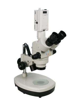 立體顯微鏡/體視顯微鏡
