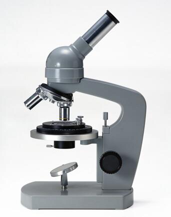 光学显微镜的结构
