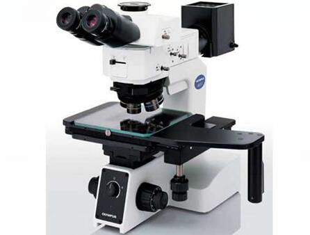 wan能工具显微镜
