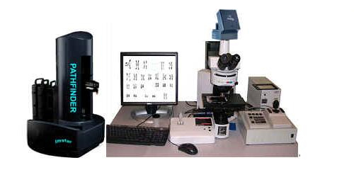 染色体分析系统染色体异常原因和分类