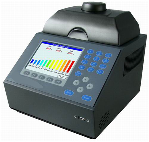 荧光定量PCR检测方法