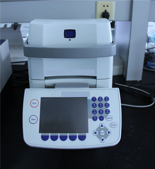 荧光定量PCR的应用