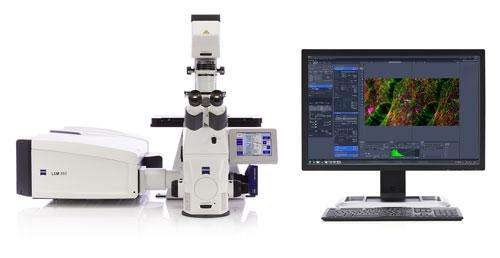 苏州大学激光共聚焦显微镜采购项目中标公告