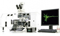 我国自研干涉单分子定位显微技术打破光学显微镜分辨率极限