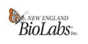 美国NEB/New England Biolabs