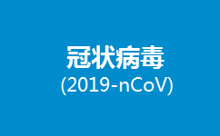 冠状病毒、2019-nCoV