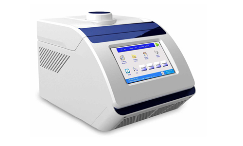 PCR扩增产物分析