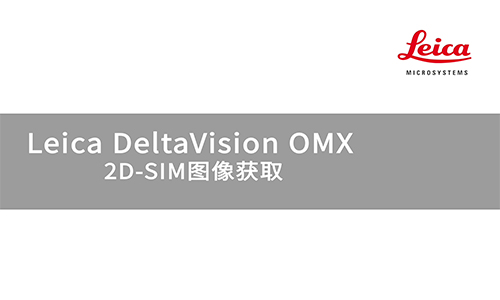 DeltaVision OMX 2D-SIM图像获取