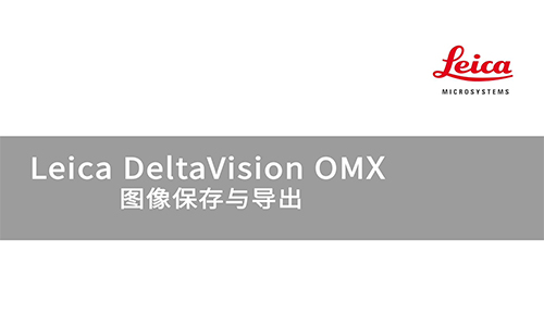 DeltaVision OMX 图像保存与导出